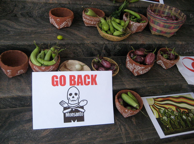 Baskets of many different kind of Brinjal (aka "Eggplant") put out by protesters during the listening tour of India's environment minister relating to the introduction of BT Brinjal. Spring 2010 in Bangalore, India. (photo by Infoeco)
