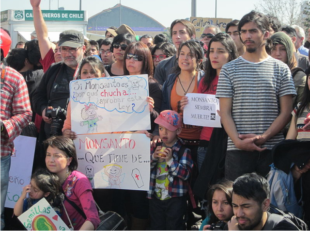 March Against Monsanto in Chile (photo by Mapuexpress Informativo Mapuche)